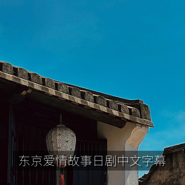 东京爱情故事日剧中文字幕经典回顾，九十年代都市爱情画面