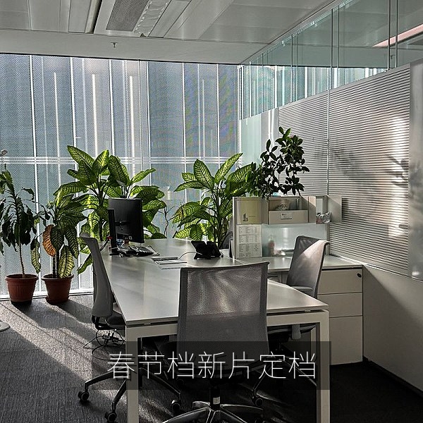 春节档新片定档撞车的娱乐圈八卦盘点