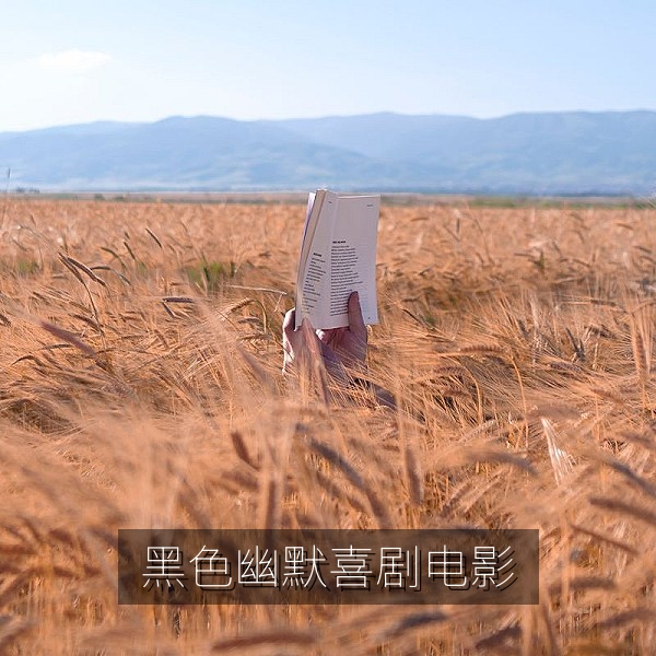 黑色幽默喜剧电影插图，适合开启中文字幕在线观看的华语影片
