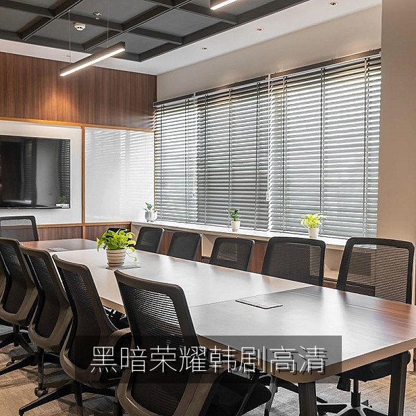 黑暗荣耀韩剧高清海报，复仇题材韩剧在线观看