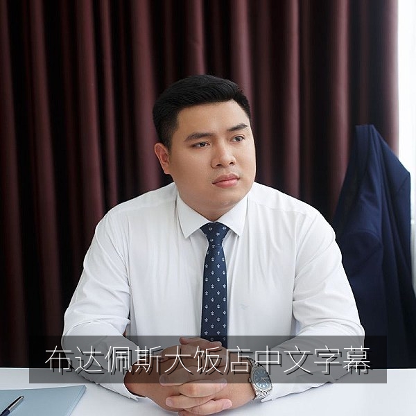 电影《布达佩斯大饭店》对称构图风格插图，中文字幕影片推荐