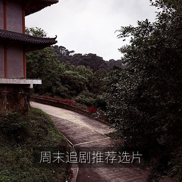 周末追剧推荐选片技巧文章配图