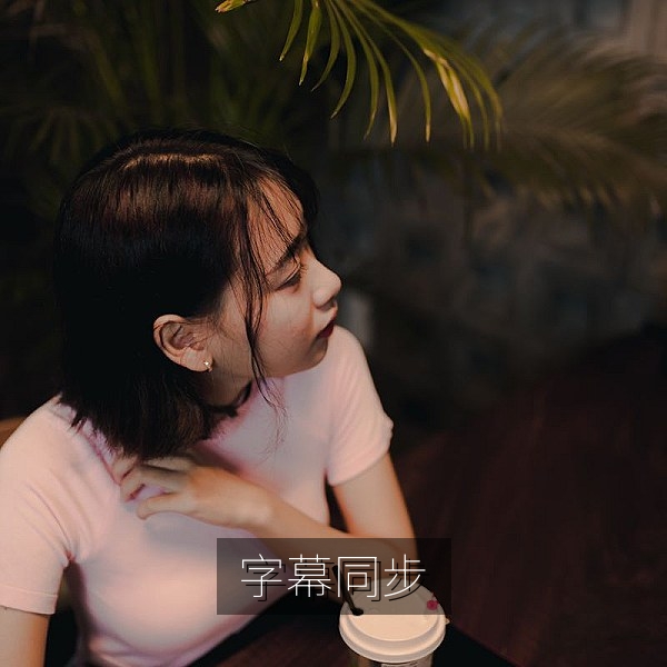 电脑播放器中调整中文字幕延迟，解决音画不同步