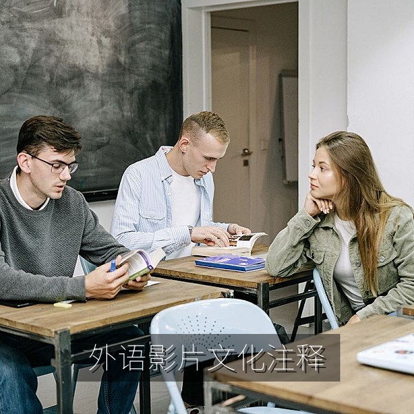 影片字幕中的文化注释与双语对照，中文字幕翻译细节
