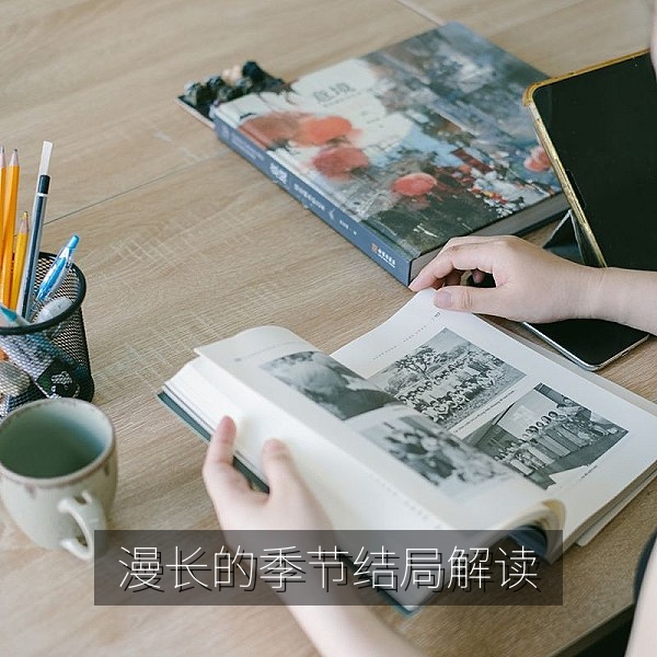 漫长的季节结局解读配图，悬疑剧追剧指南