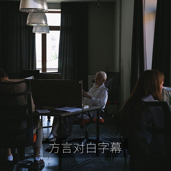 方言对白中文字幕标注方法，普通话字幕与方言保留