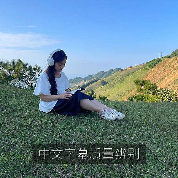 辨别日韩电影中文字幕翻译质量的方法示意图