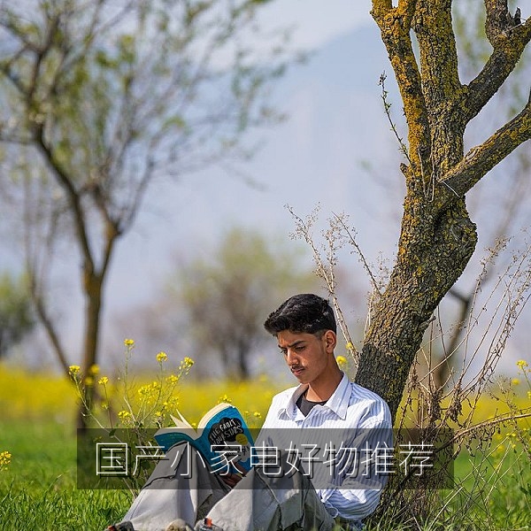 国货好物推荐：国产静音破壁机与空气炸锅厨房场景