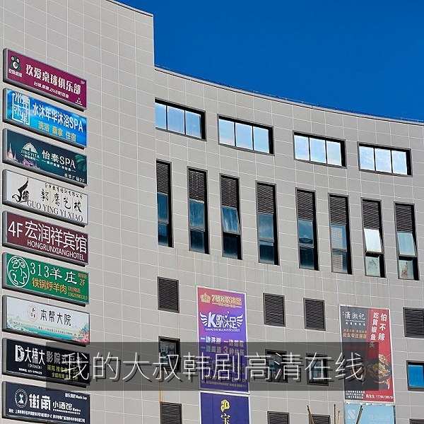 我的大叔韩剧高清在线剧照，现实题材治愈韩剧