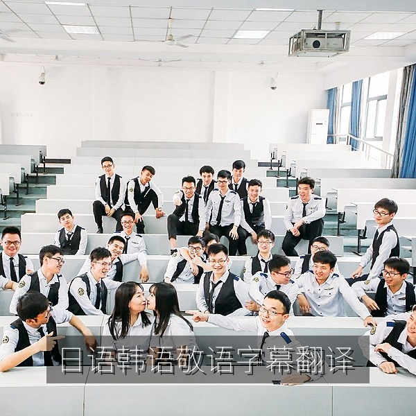 日语韩语敬语在中文字幕中的翻译处理示意图