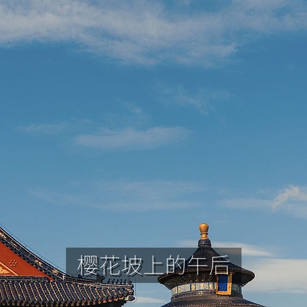 樱花坡上的午后校园恋爱动漫美女与同学并肩行走