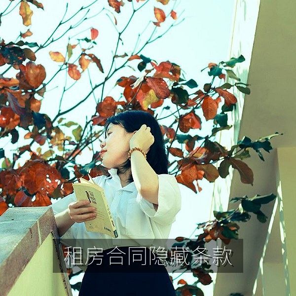 租房合同隐藏条款解析，爆料大赛投稿热门案例配图