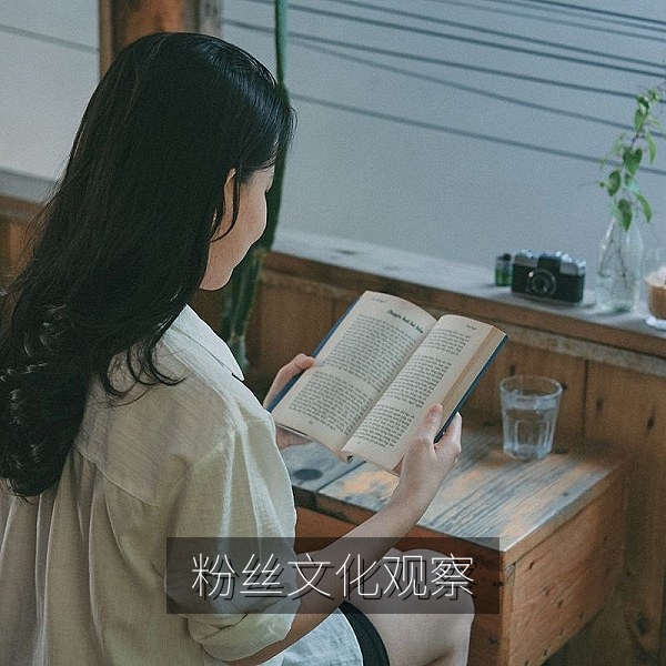 粉丝应援与饭圈文化争议的娱乐观察配图