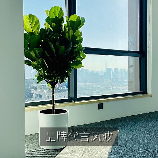 品牌代言合作调整引发网友热议的吃瓜话题