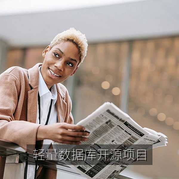 轻量级嵌入式数据库开源项目性能对比图