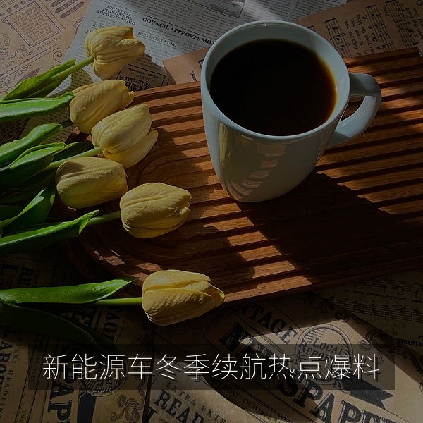 新能源车主反映冬季续航缩水的热点爆料配图
