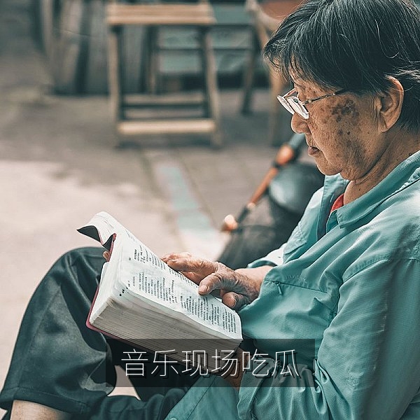 音乐节现场突发状况与观众反应的娱乐吃瓜配图