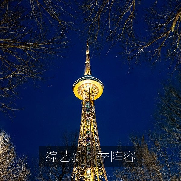 综艺新一季嘉宾阵容官宣引发网友热议的吃瓜话题