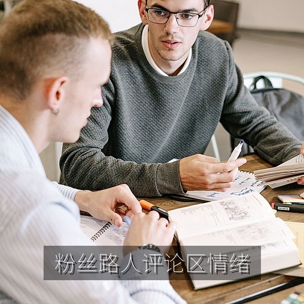 评论区情绪与粉丝路人盘影响网络舆论走向的观察配图