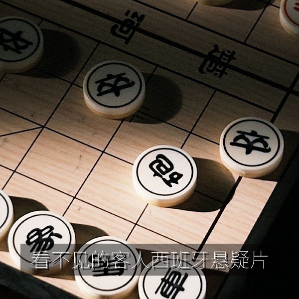 西班牙悬疑电影看不见的客人解析与中文字幕对白配图