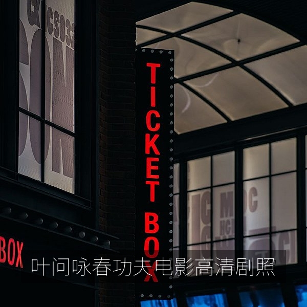 叶问咏春功夫电影高清剧照，国产功夫片推荐
