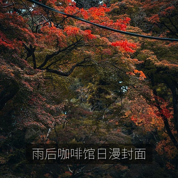 日漫《雨后咖啡馆的约定》封面，雨后街角的咖啡馆恋爱日常