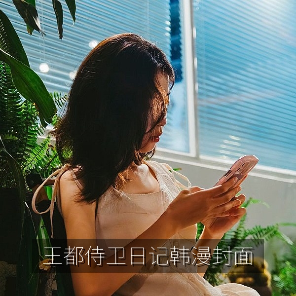 韩漫《王都侍卫的秘密日记》封面，宫廷权谋古风条漫