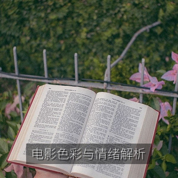 电影调色与情绪对比画面，影视解析教程高清播放