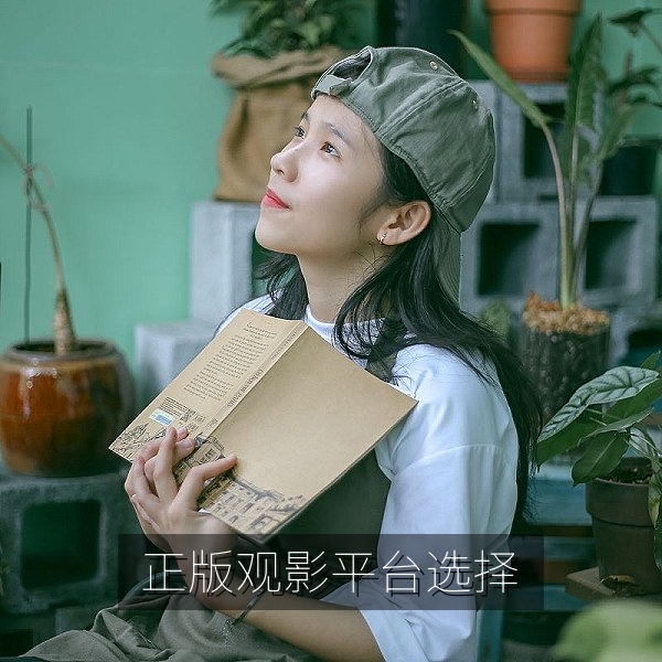正版观影指南：如何选择正规平台观看中文字幕影视