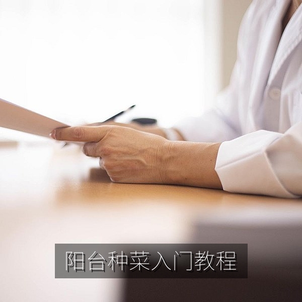 阳台种菜入门教程视频封面