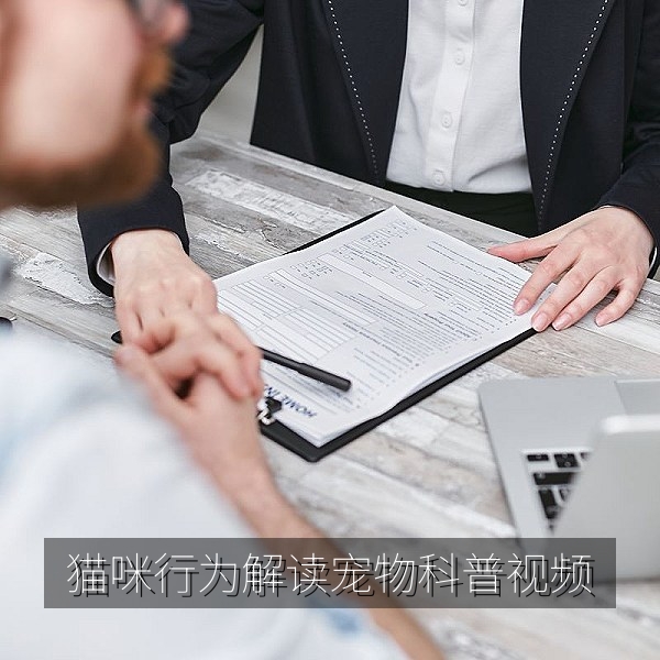 猫咪行为解读宠物科普短视频封面