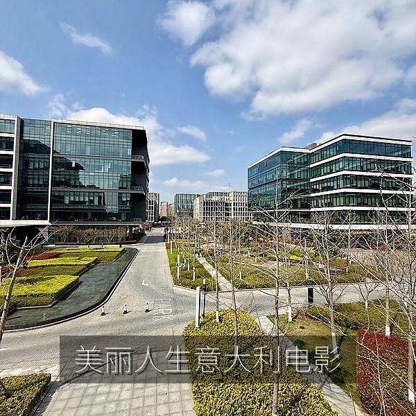 意大利电影美丽人生解读与中文字幕情感表达配图