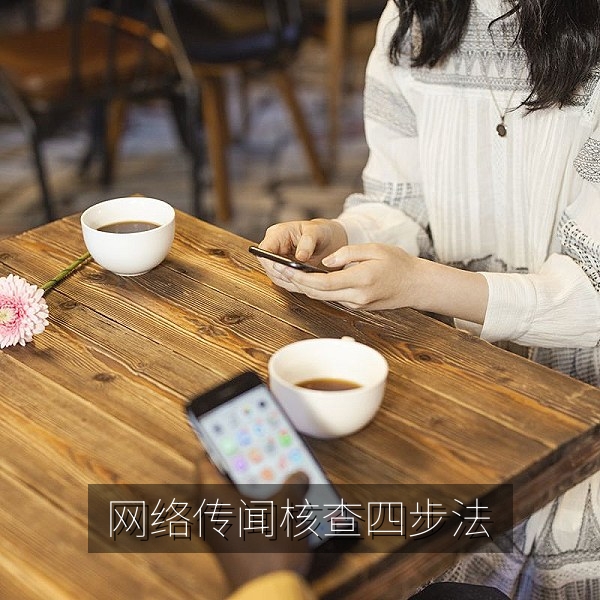 网络传闻核查四步法流程图，包含看来源、查时间、比多方、留证据