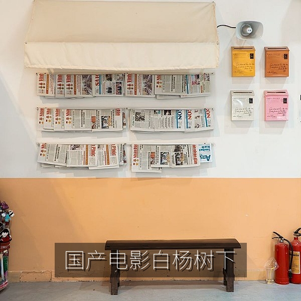 国产青春电影《白杨树下》高清剧照，校园操场与白杨树