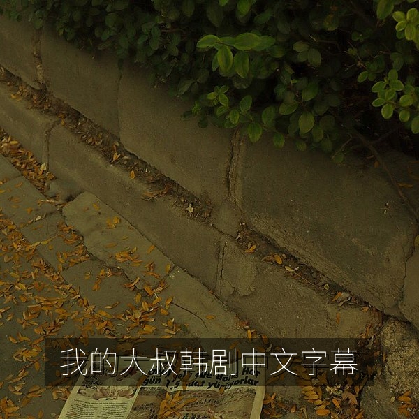 韩剧《我的大叔》海报，现实题材治愈剧，中文字幕观影推荐