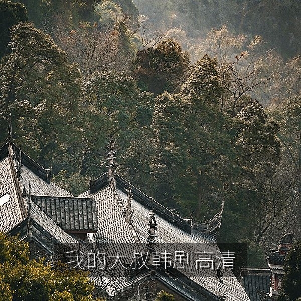 我的大叔韩剧高清剧照，现实题材治愈韩剧推荐