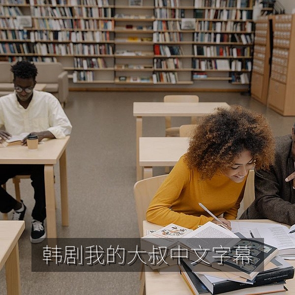 韩剧《我的大叔》中文字幕治愈系高分剧集