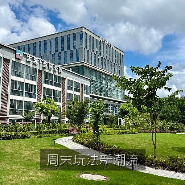 年轻人周末新玩法网络热梗话题
