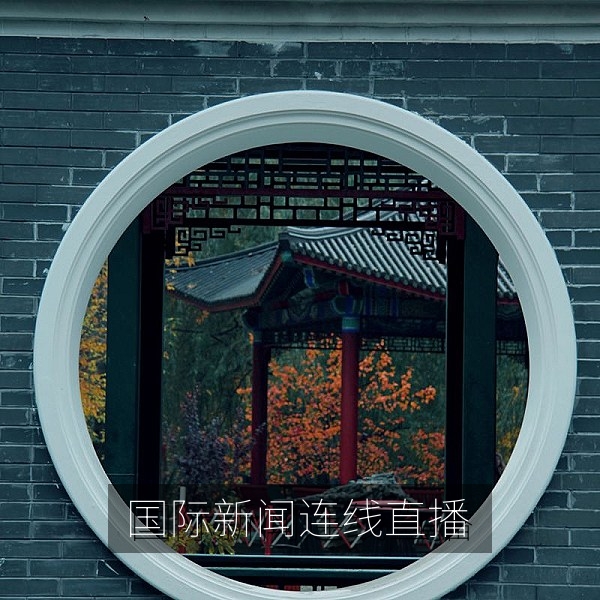国际新闻连线直播中记者现场报道画面