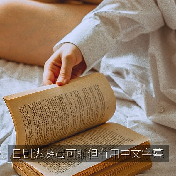 日剧《逃避虽可耻但有用》中文字幕轻喜剧推荐