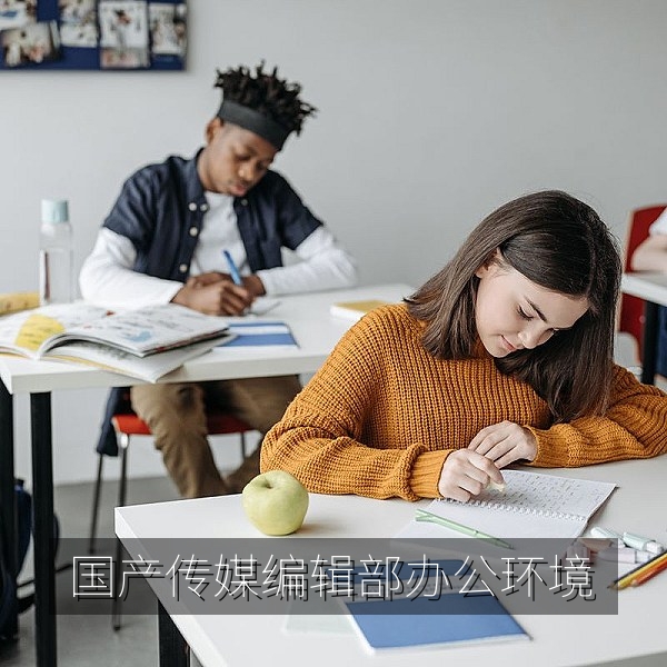 国产传媒在线观看麻豆编辑部办公环境