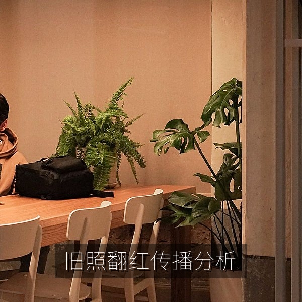 一张旧照反复翻红的传播链分析与娱乐八卦解读
