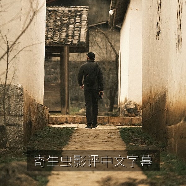 韩国电影寄生虫影评与中文字幕翻译细节配图