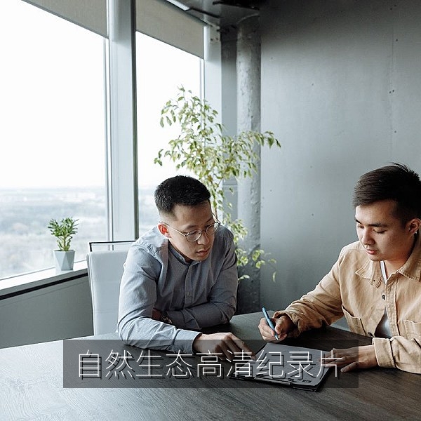 自然生态高清纪录片，高原湿地中的候鸟群飞过湖面