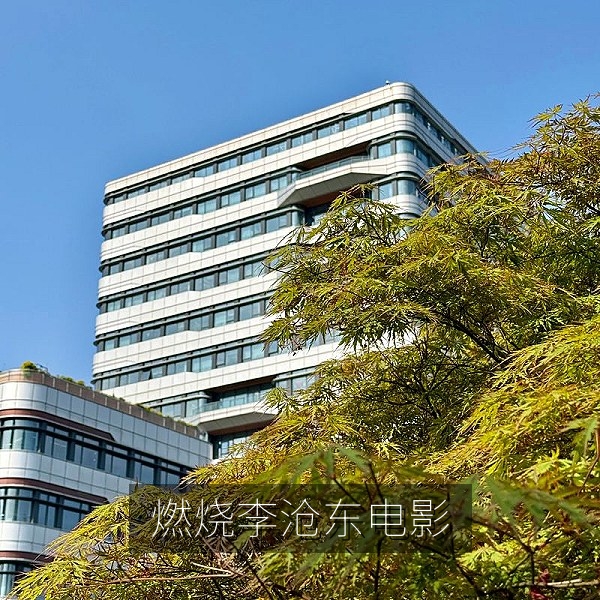 韩国电影《燃烧》田野黄昏画面，悬疑文艺片中文字幕观影