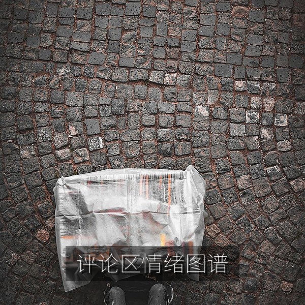 评论区情绪变化图谱，从围观到站队的网友心理分析配图