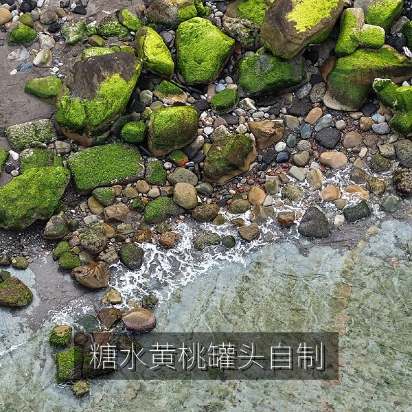 自制糖水黄桃罐头教程，蜜桃美食做法