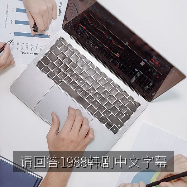 韩剧《请回答1988》韩语中文字幕版胡同邻里温情场景