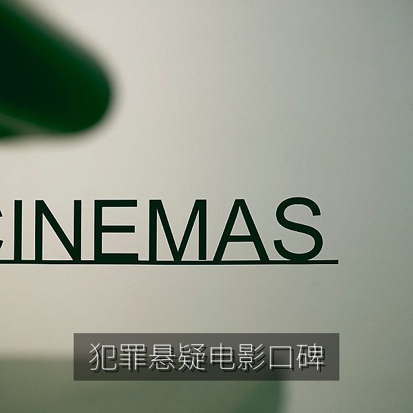 犯罪悬疑电影口碑评析：剧情反转与观众争议