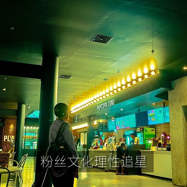粉丝文化与理性追星的网友热议话题梳理配图